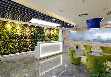 植物墙制作