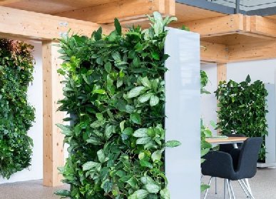 植物墙屏风