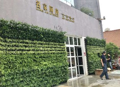 艺术餐厅植物墙