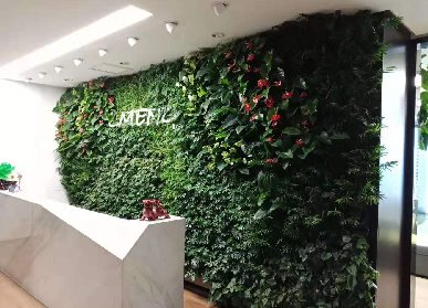 办公室植物墙