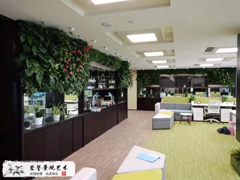 室内办公室植物墙