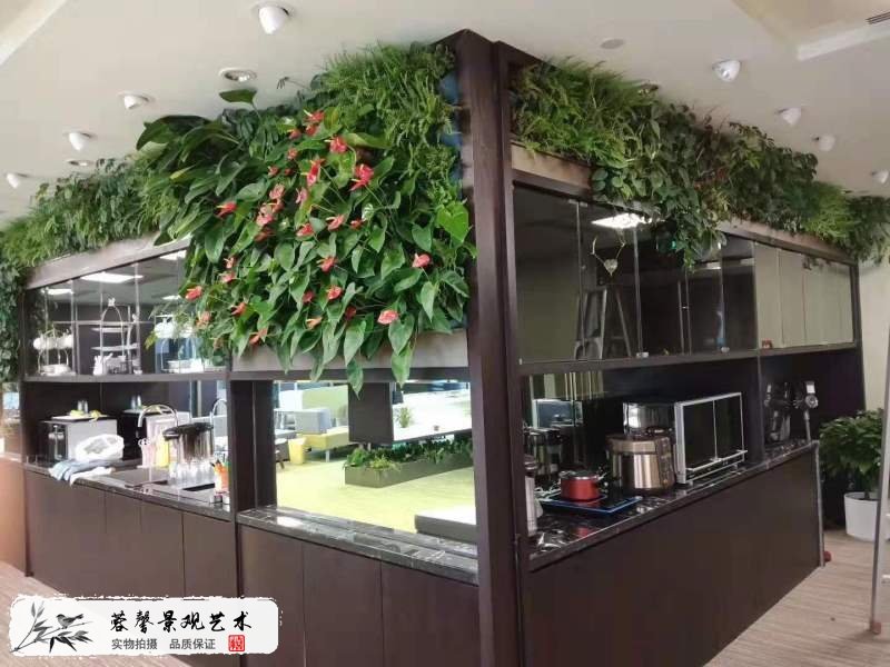 室内办公室植物墙