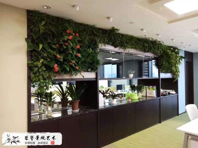 室内办公室植物墙