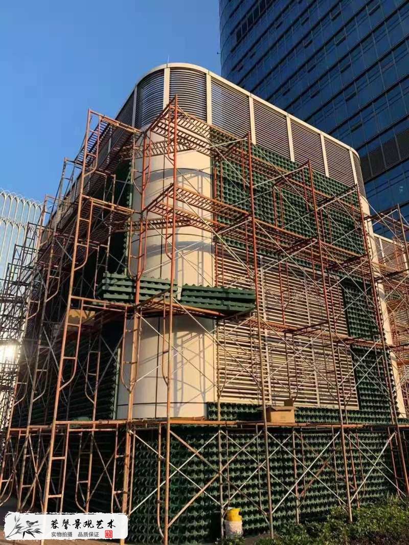 楼顶露台墙体植物墙