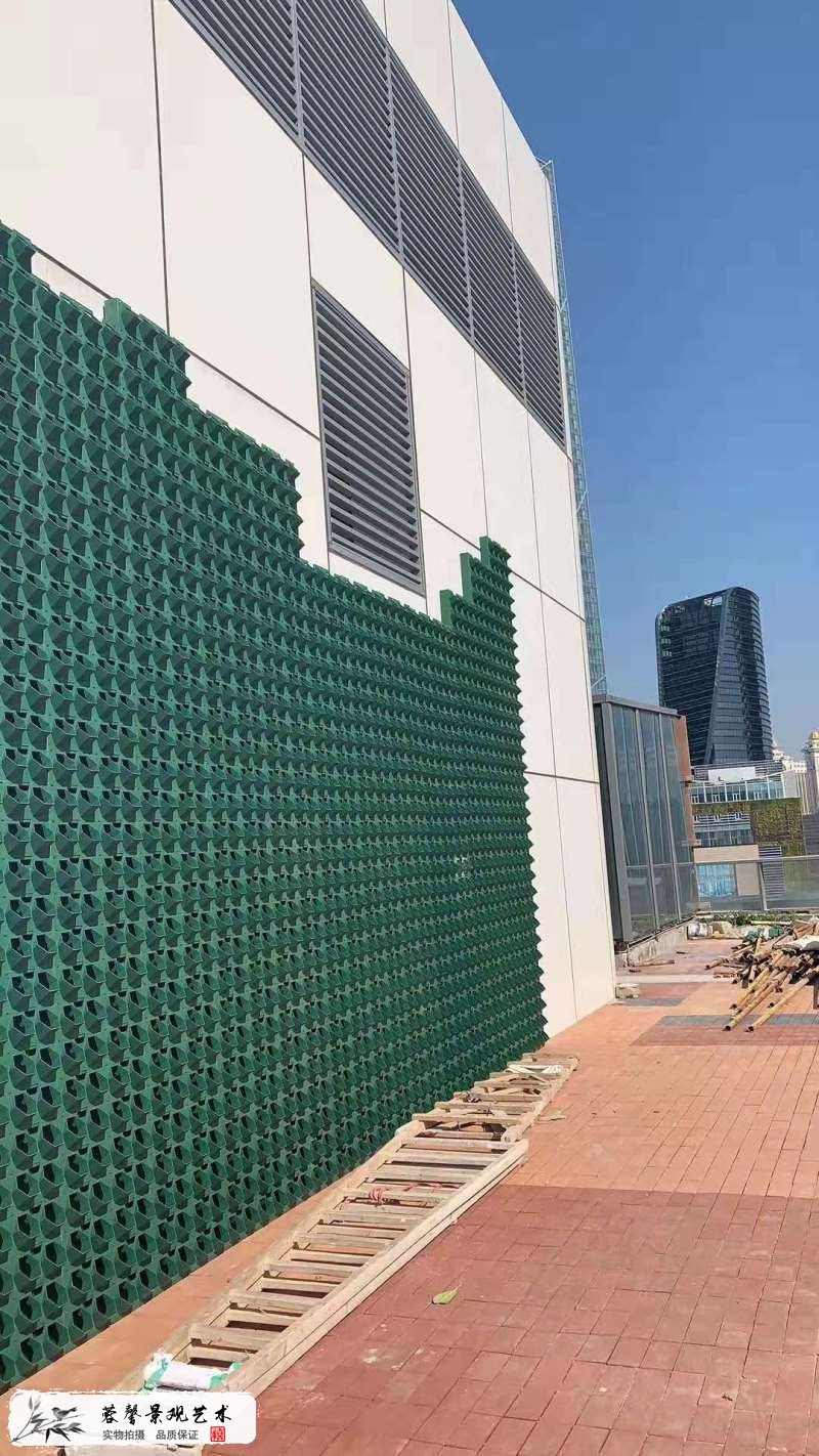 楼顶露台墙体植物墙