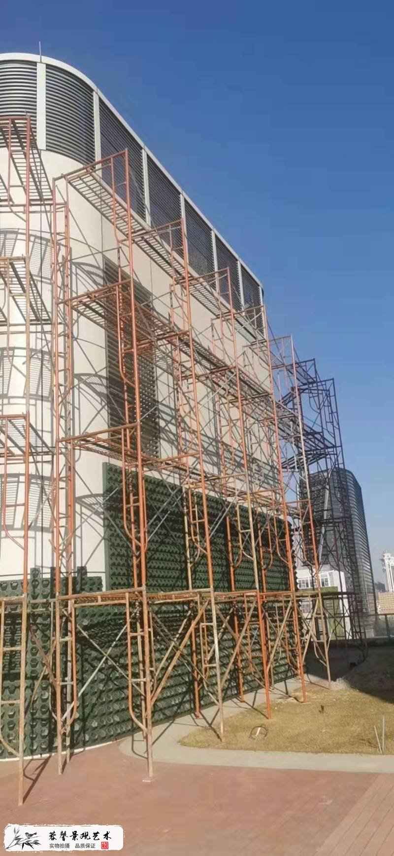楼顶露台墙体植物墙
