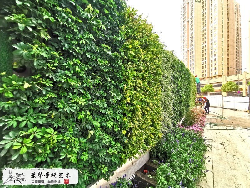 售楼部植物墙