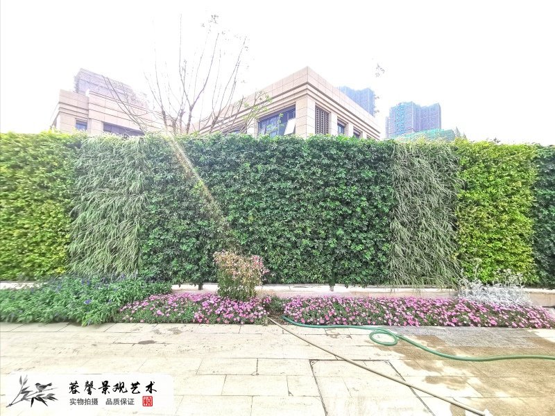 售楼部植物墙