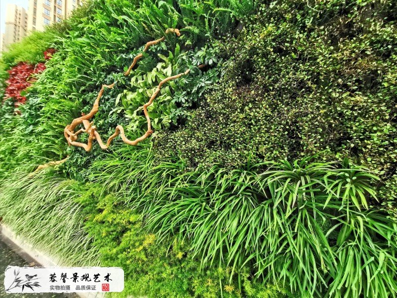 售楼部植物墙