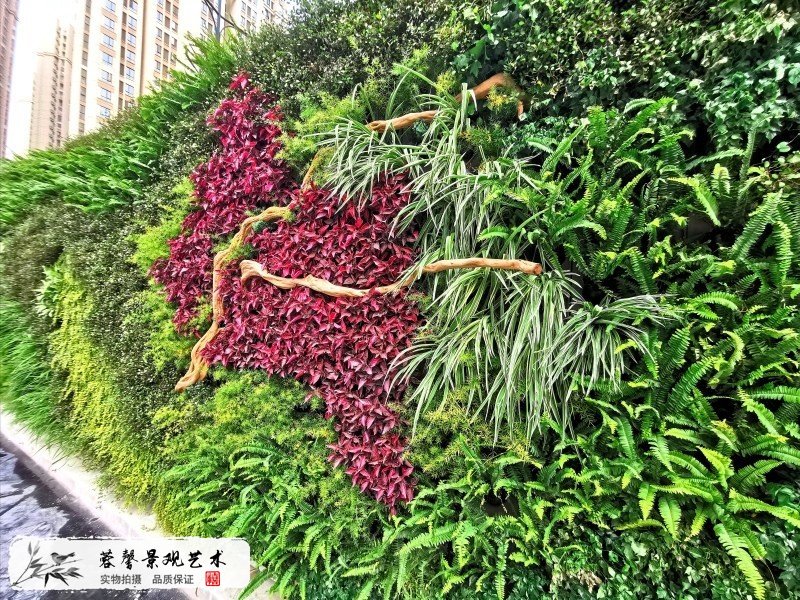 售楼部植物墙