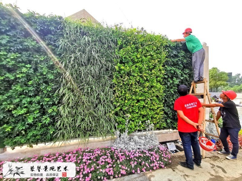 售楼部植物墙