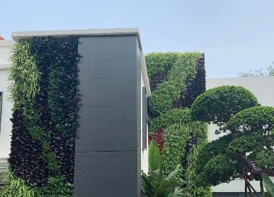别墅植物墙