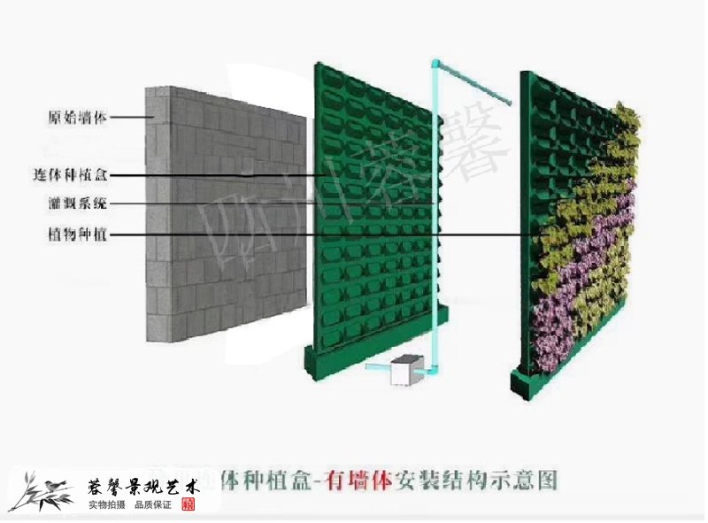 别墅垂直绿化