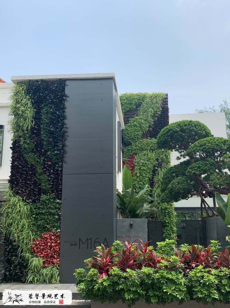 别墅垂直绿化