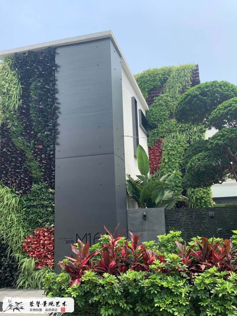 别墅垂直绿化