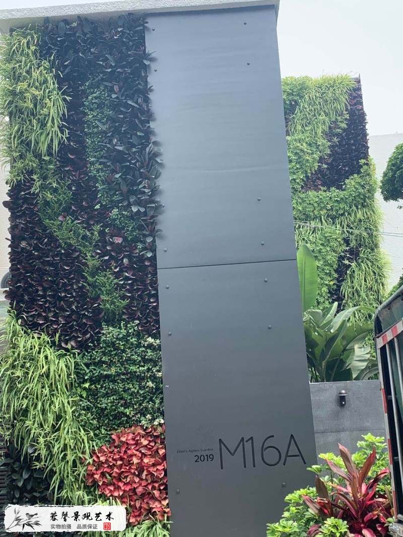 别墅垂直绿化