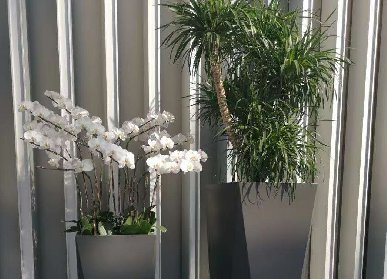 玻璃钢花器