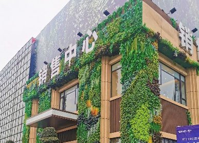 外墙仿真植物墙