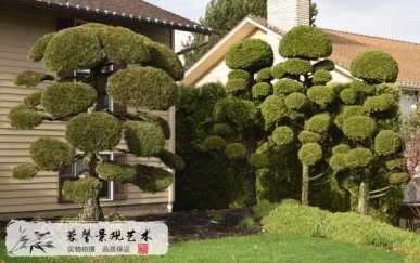 仿真绿雕