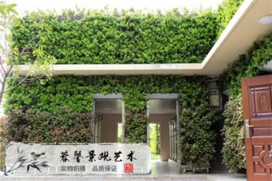 屋顶花园