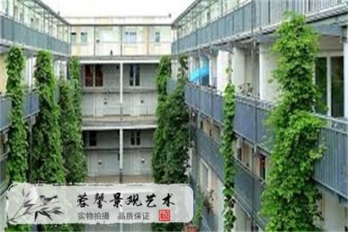 屋顶花园