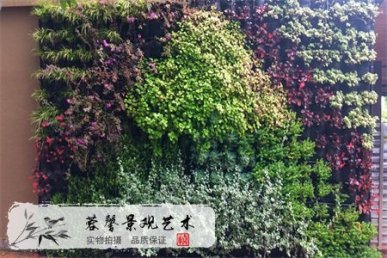 仿真植物墙
