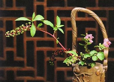 花艺造型