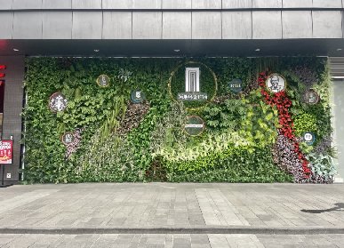 仿真植物墙特点