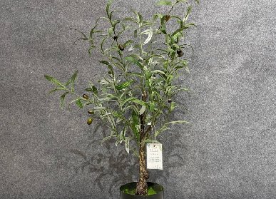 仿真橄榄树