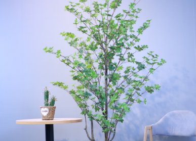 仿真吊钟树