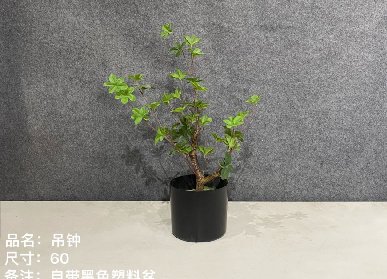 仿真吊钟树