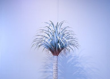 仿真龙血树