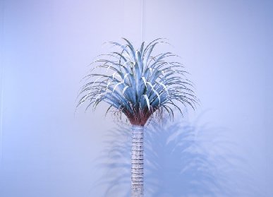 仿真龙血树