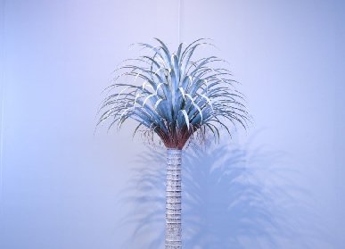 仿真龙血树